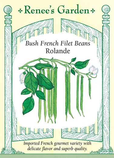 RG Bush Bean Rolande